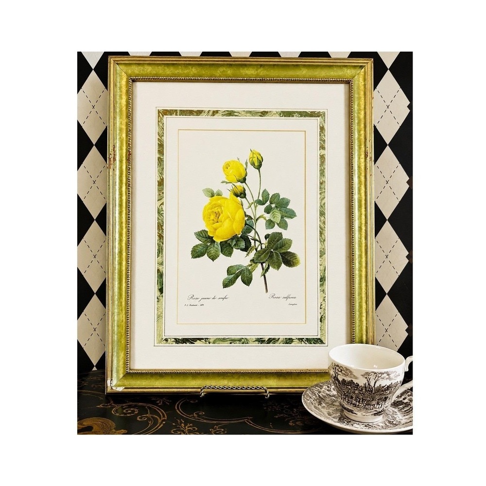 Large Botanical Lithograph Professionally Framed 21" Redouté French Floral Print